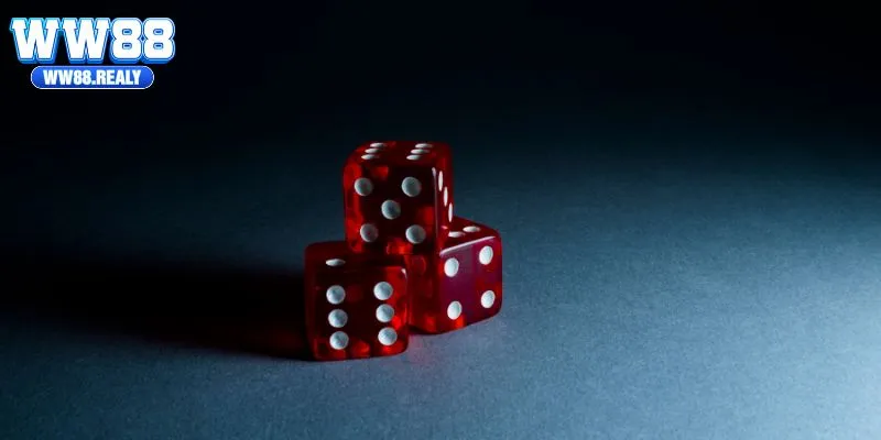 Nhiều cửa cược giúp mọi người chơi đều có cơ hội sinh lời